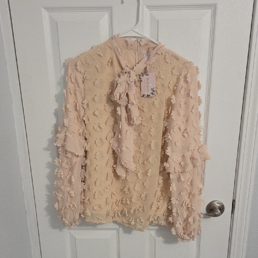 Dainty Jewells Cream Textured Blouse with Bow